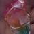 New 18KT Gold Filled Natural Stone Necklace 3 thumbnail