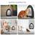 New EyeVac Home Touchless Vacuum EVH-S Silver 2 thumbnail