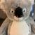$35 koala bear toys R us 2013 NWT 15 high 14 wide stuffed animal plush 4 thumbnail
