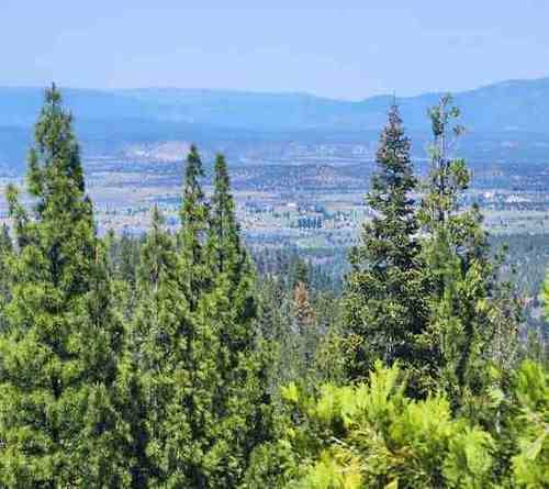 $125 /mes. ¡Escapa de la Ciudad! ¡0.9 Acres con Vistas a las Montañas de CA! (Alturas, CA)64319484051715121