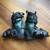 Ski boots 1 thumbnail