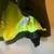 2 Reflective Jackets, double layer, for winter and summer Size XL/XLL - NEW 4 thumbnail