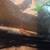Baby bearded dragon 2 thumbnail
