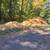 Free 🆓 Dirt Further for farms 5 thumbnail