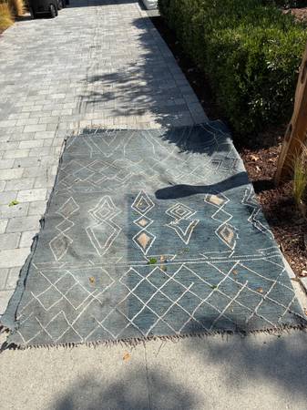 FREE OUTDOOR RUG - West Elm 1