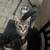 Rehoming Kittens 10 thumbnail