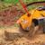 Tree Removal, Stump Grinding & Removal, Land Clearing, Storm Damage 4 thumbnail
