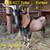 Kiko Goat Bucklings 3 thumbnail