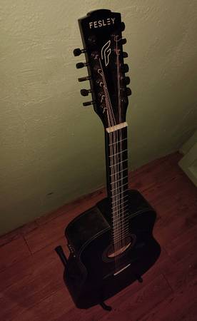 Fesley 12-String acoustic/electric guitar 1