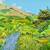 Alex Nizovsky - Cavallo Point Valley - Landscape Painting 30"x24" 1 thumbnail