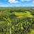 DOUBLE LOT OPPORTUNITY! (10936 & 10996 Airolo Drive) 11 thumbnail