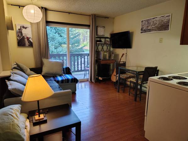$146,000 / 1br - Cozy Mt Baker Glacier Ski base Condo for sale (Glacier, WA)63935321919747120