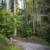 Rare Santa Cruz Mountains Lot – 0.88 Acres + 0.13 Bonus Parcel 10 thumbnail