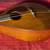 1920s Oliver Ditson Model A Empire Mandolin made by Martin Rare 14 thumbnail