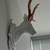 Wall Decor 1 thumbnail