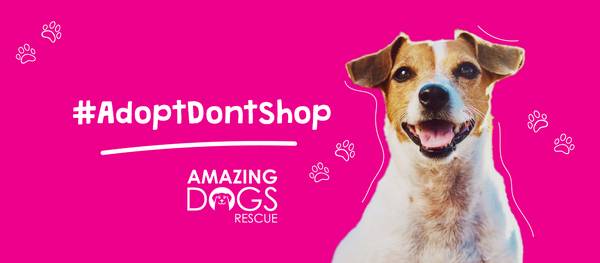 Dog Adoption Event Manager 1