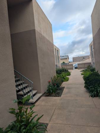 $750 / 1000ft2 - Espacio de vida compartido a 15 minutos de la playa (Clairemont)63865483753601120