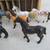 Schleich Miniature Play Horses Lot Of 8 With Wooden Stall 7 thumbnail