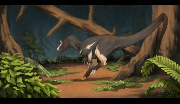 Illustrator Seeking Employment 1