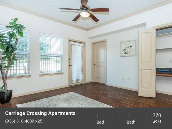 $1,031 / 1br - 770ft2 - Your Serene Retreat with Modern Comforts (Waller)63906680650114121