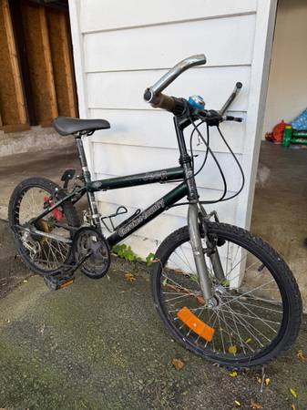 Free bike 1