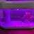2 Gallon Fish Tank / Aquarium 8 thumbnail