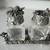 Salt Shakers, La Contessa by Mary Demarco Crystal and Pewter Dragonflies NEW 11 thumbnail