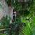 Hideaway On Hasell 8 thumbnail