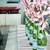 29 EMPTY Green Glass S. PELLEGRINO Sparkling Mineral Water Bottles 1 thumbnail