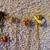 9 stick pins and hair clips - lady bug, flowers, angel, heart, more... 3 thumbnail