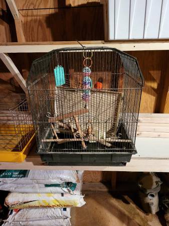 BIRD CAGE AND GUINEAPIG CAGE - $25 (Cumming)63441269334147122