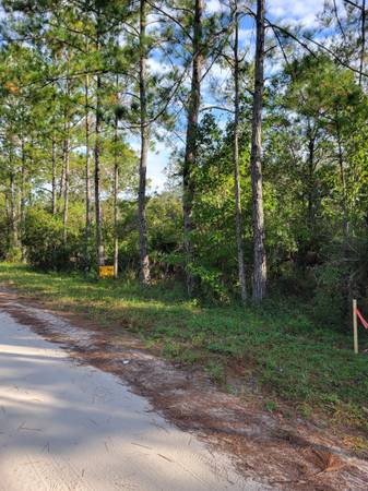 $11,900 Lots for Mobile Homes in Central FL - Financing Available (Satsuma, Florida)64049274809985120