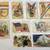 POSTCARDS FROM THE PAST 18 thumbnail