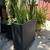 :) 2 Black Planters Metal and concrete composite including plants 4 thumbnail