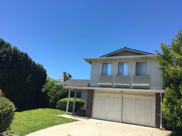 $1,175 / 1br - 150ft2 - Room for Rent near El Camino, Homestead & Lawrence Expressway (sunnyvale)63868038458755121