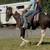 Gentle trail riding mare 9 thumbnail