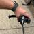 Thule Squarebar (x2) w/ Feet 2 thumbnail