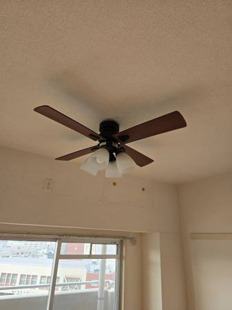 Functional ceiling fan. Decorative and functional. 1