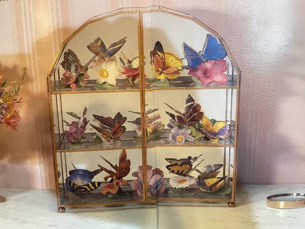 Butterfly Collection 1