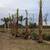 ALL LANDSCAPE & IRRIGATION 2 thumbnail