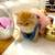 Kitten -rehoming 1 thumbnail