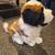 Kids of America 13" St Bernard plush stuffie 7 thumbnail
