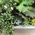 Beautiful large faux succulent arrangements in a modern planter 5 thumbnail