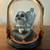 Martha Stewart Halloween 8 in LED Lighted Skull in Cloche Skeleton Tab 1 thumbnail