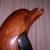 6 Piece Ocean Life Wood Carving Collection 10 thumbnail