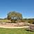 149 Tanali Trail:4bed,3.5bath,3live,pool,spa,firepit,amenities 22 thumbnail