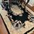 Gorgeous black Aubusson rug 1 thumbnail