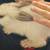 Rehoming our Flemish Giant Rabbit – born Spring 2025 2 thumbnail