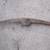 Railroad Pick Axe head 23" 6.5 lbs. - Vintage 4 thumbnail