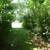 Prime Hunting Property and Cabin 18 thumbnail